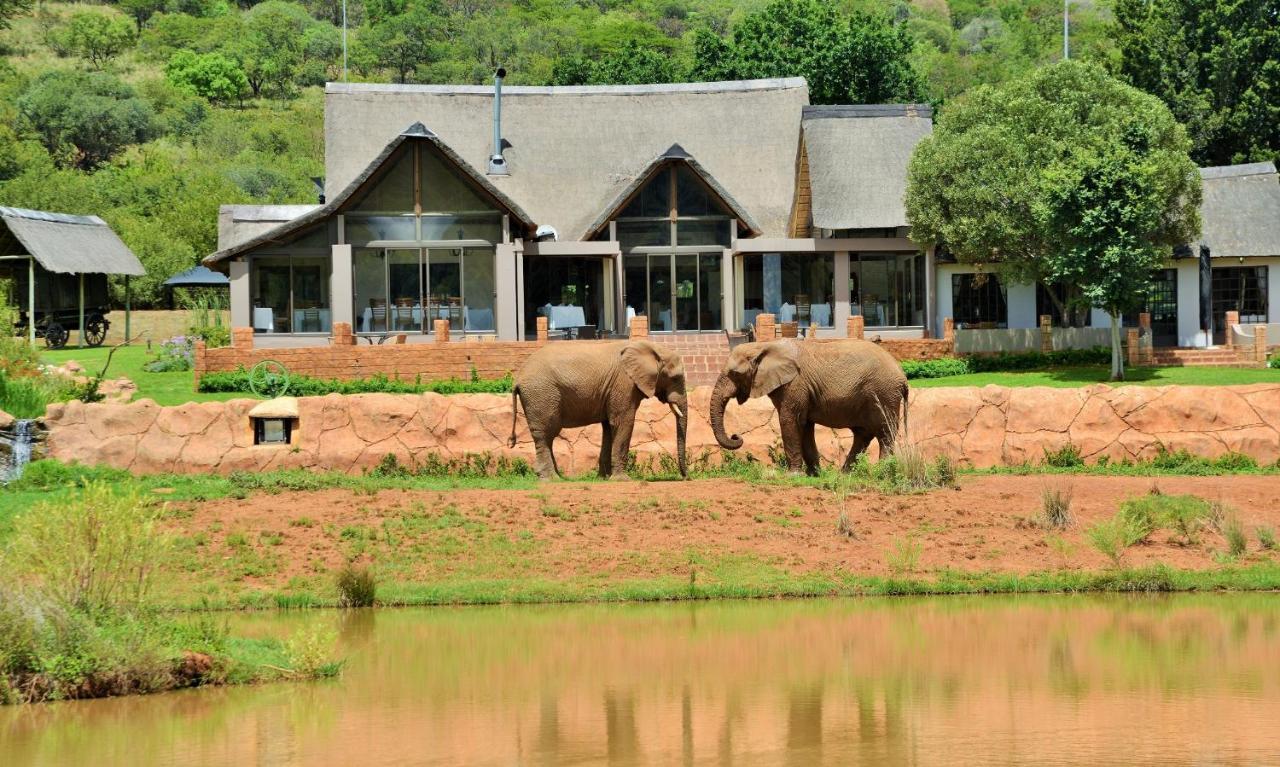 African Hills Safari Lodge & Spa Магалисбург Екстериор снимка
