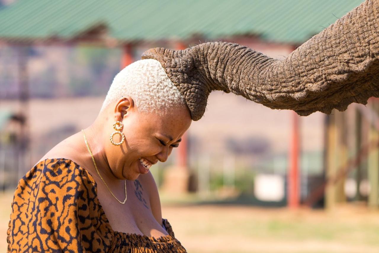 African Hills Safari Lodge & Spa Магалисбург Екстериор снимка