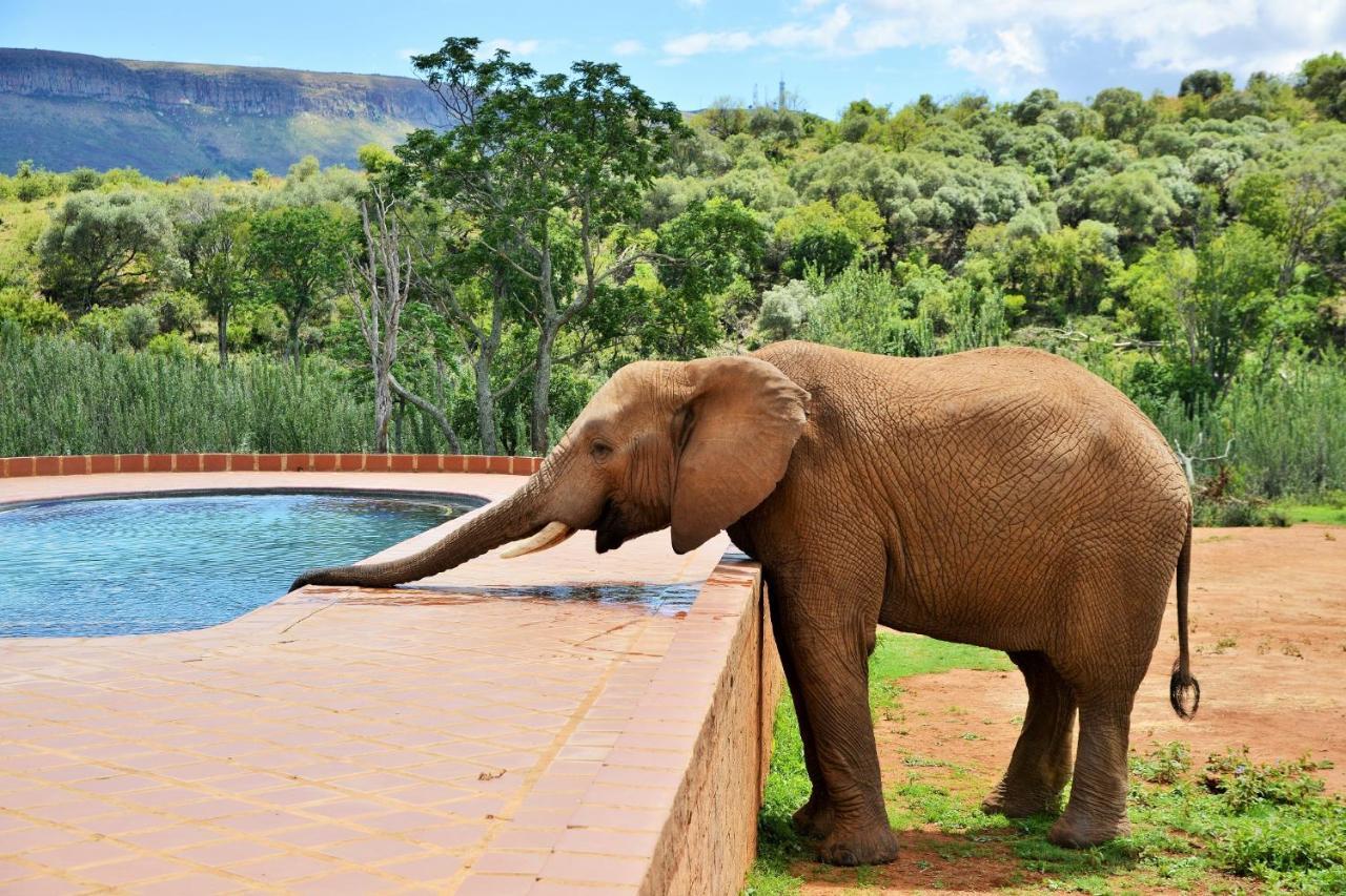 African Hills Safari Lodge & Spa Магалисбург Екстериор снимка