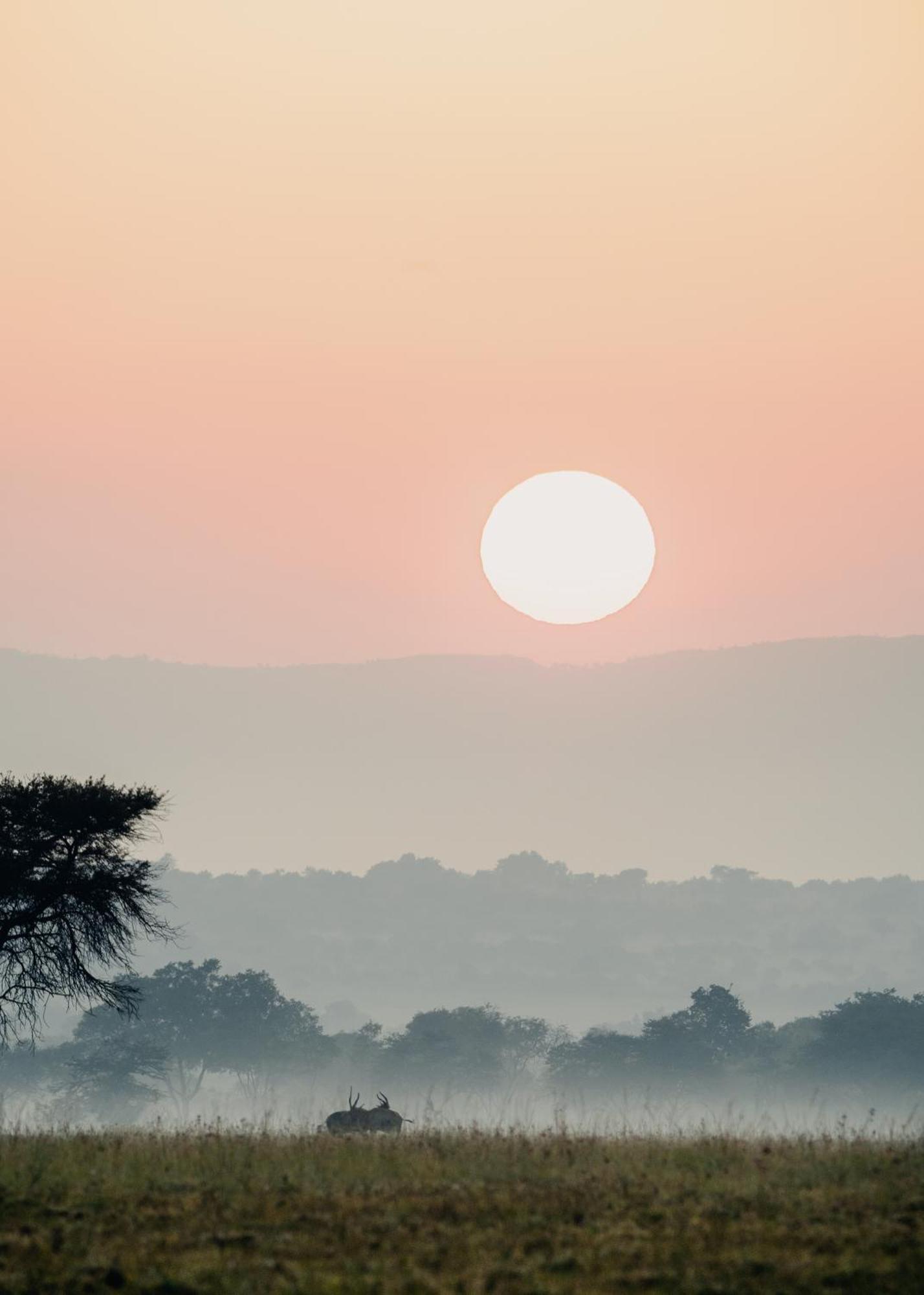 African Hills Safari Lodge & Spa Магалисбург Екстериор снимка