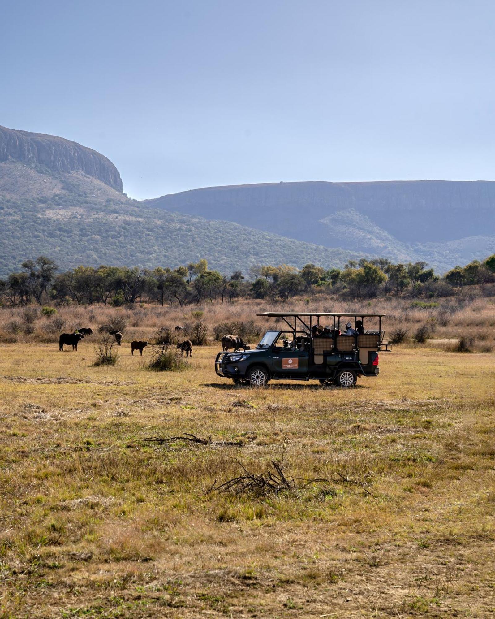 African Hills Safari Lodge & Spa Магалисбург Екстериор снимка