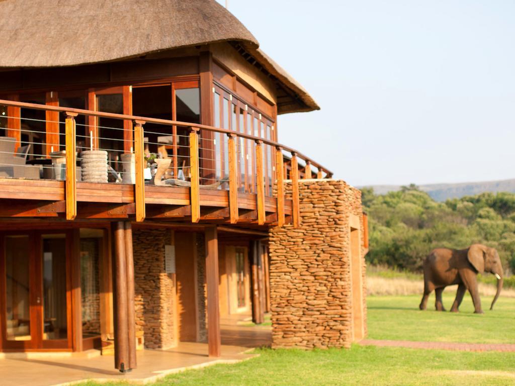 African Hills Safari Lodge & Spa Магалисбург Екстериор снимка